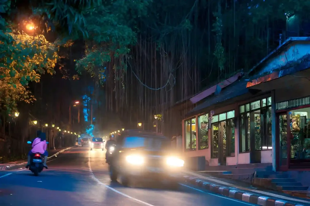 Bali Night Transport