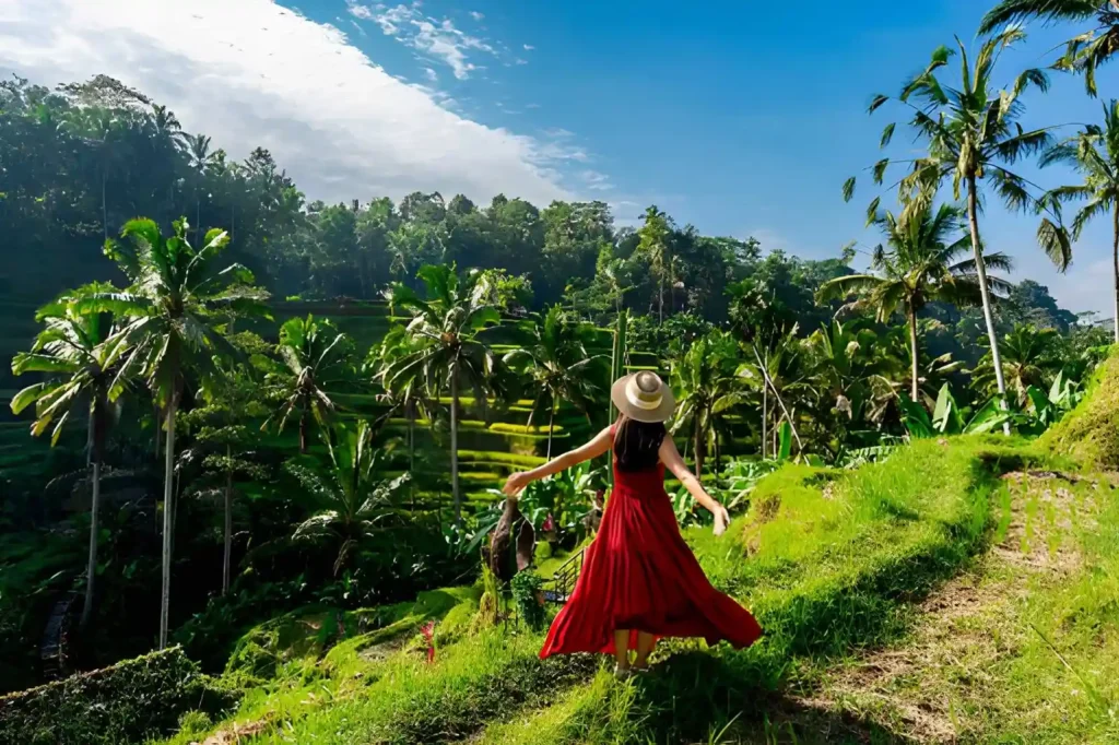 Best Things to Do in Bali with a Private Driver
