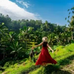 Best Things to Do in Bali with a Private Driver