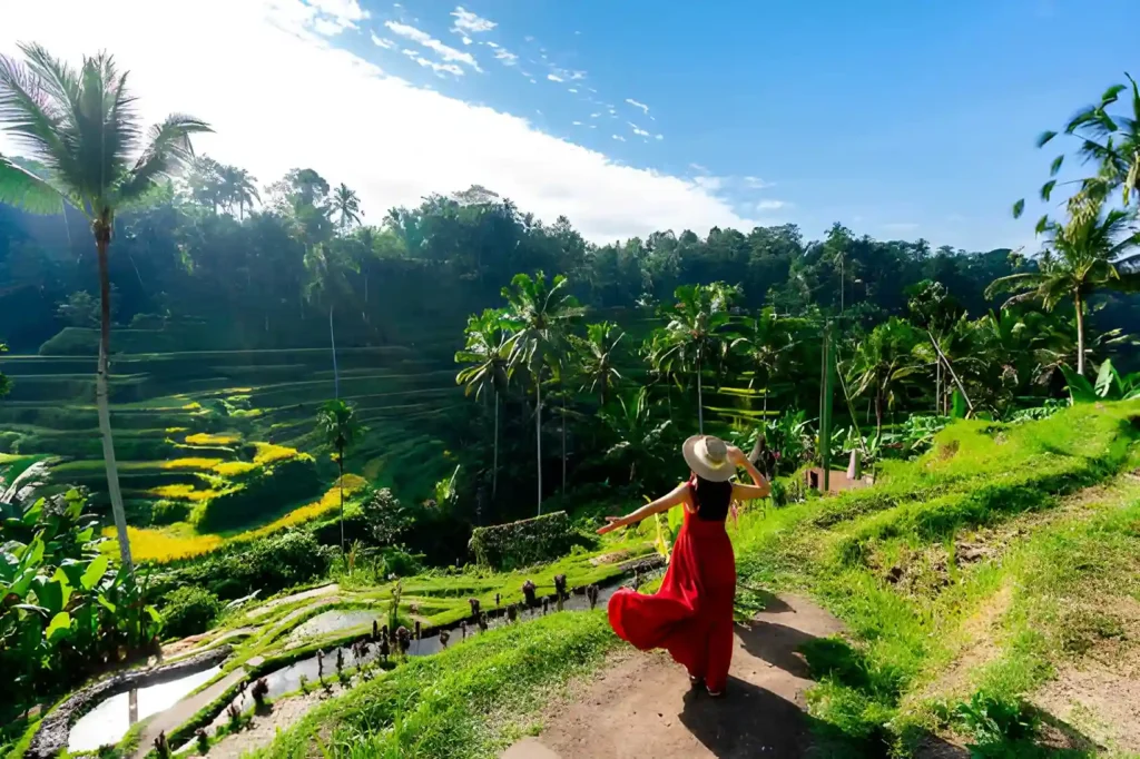 Rice Terraces Tegalalang