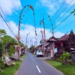 Canggu transport guide