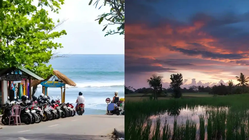 Canggu to Ubud Private Transfer
