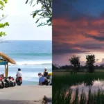 Canggu to Ubud Private Transfer