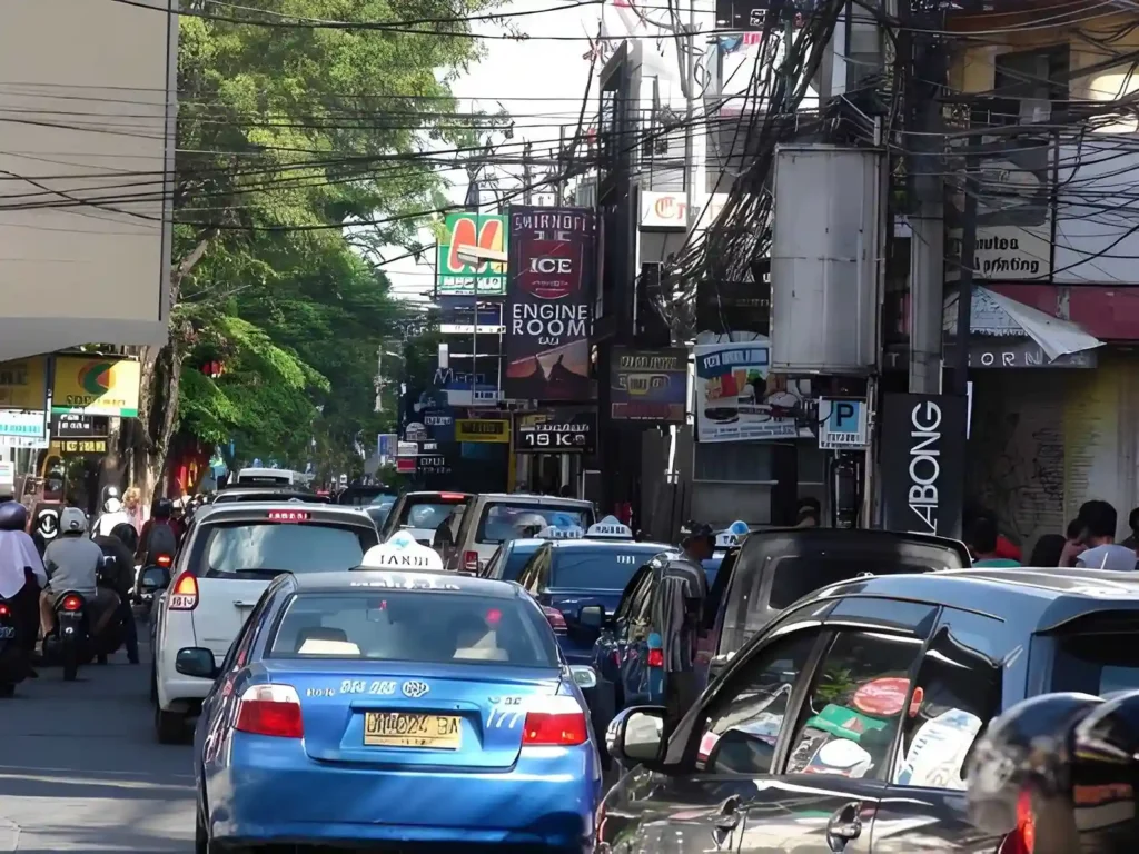 Private Driver vs Taxi in Bali