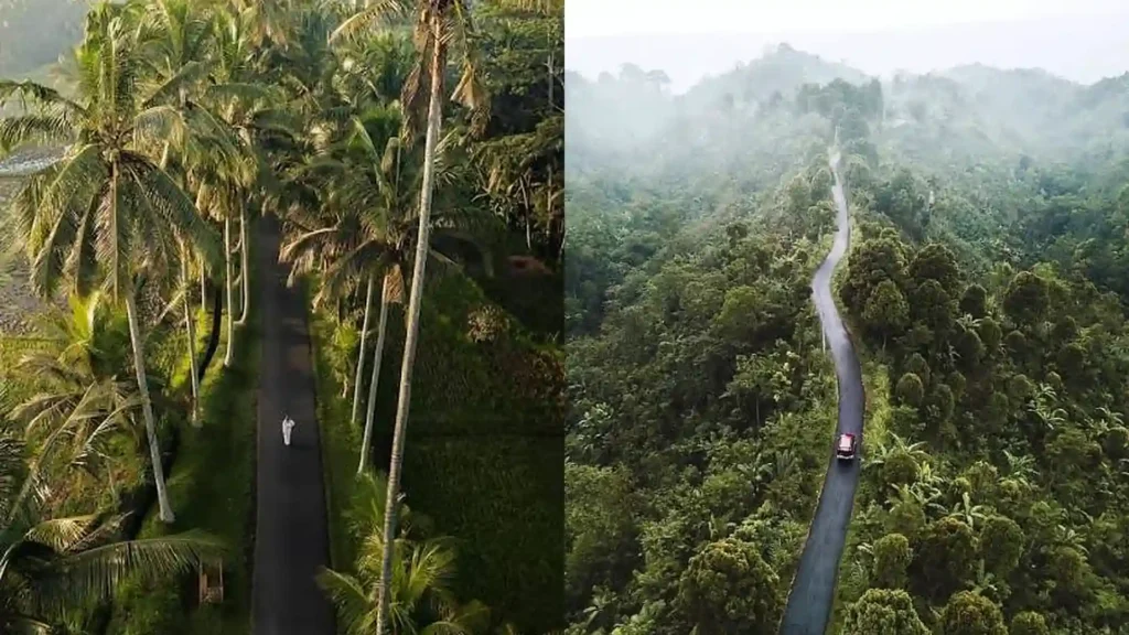 How To Get From Ubud to Munduk and Sidemen Routes & Transport