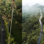 How To Get From Ubud to Munduk and Sidemen Routes & Transport