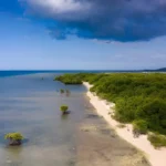 How to Get Around Pemuteran, Bali Transport Options & Local Tips