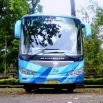 medium bus (1)