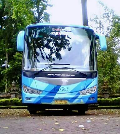 medium bus (1)