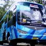 medium bus (4)